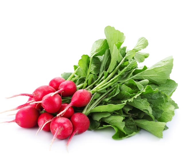 bunch of RADISHES
