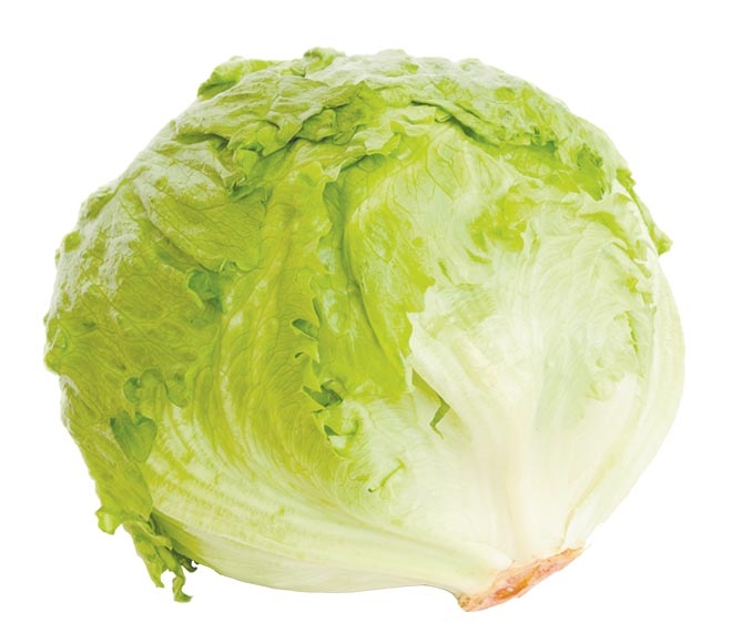 bunch of lettuce ICEBERG