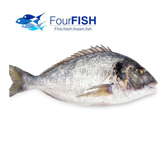 FOUR FISH sea bream fish (tsipoura) (approx. 500g)