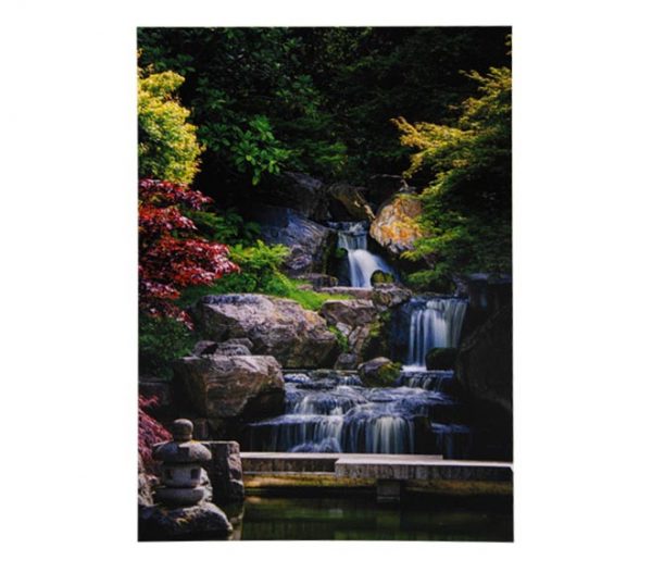 Greeting Card 0012