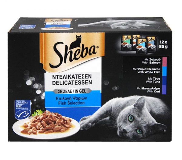 cat SHEBA selection fish in gel (white fish, salmon, cod, tuna) 12x85g