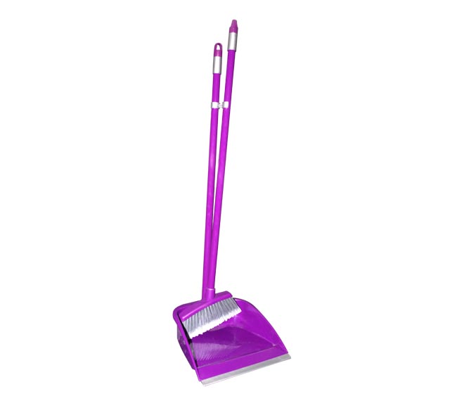 dustpan with long handle and broom