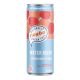 can NEXBA all natural Water Kefir sugar free 330ml - Strawberry & Peach