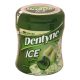 gum DENTYNE ICE spearmint flavour sugar free 81.2g