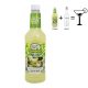 MASTER OF MIXES handcrafted coctail mixer Margarita 1L