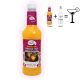MASTER OF MIXES handcrafted coctail mixer Passion Fruit 1L - Daiquiri & Margarita