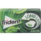 gum TRIDENT long lasting spearmint flavour sugar free 22g